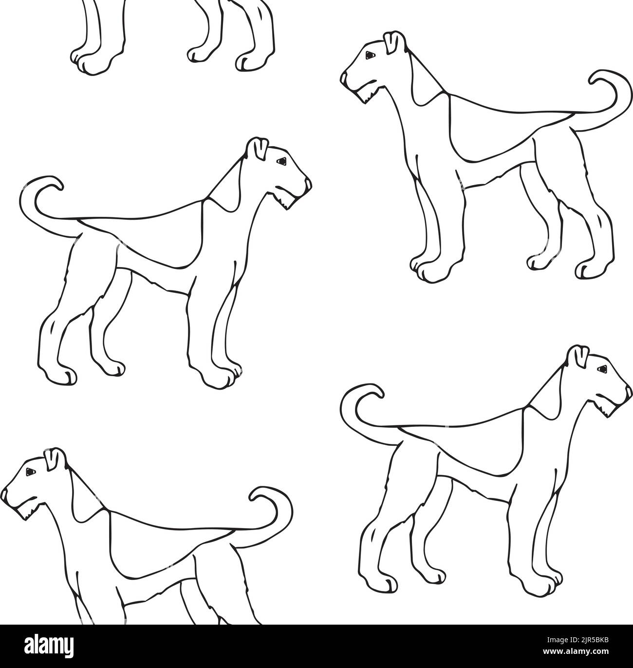 Motif vectoriel sans couture d'un dessin d'un chien terrier gallois dessiné à la main, isolé sur fond blanc Illustration de Vecteur
