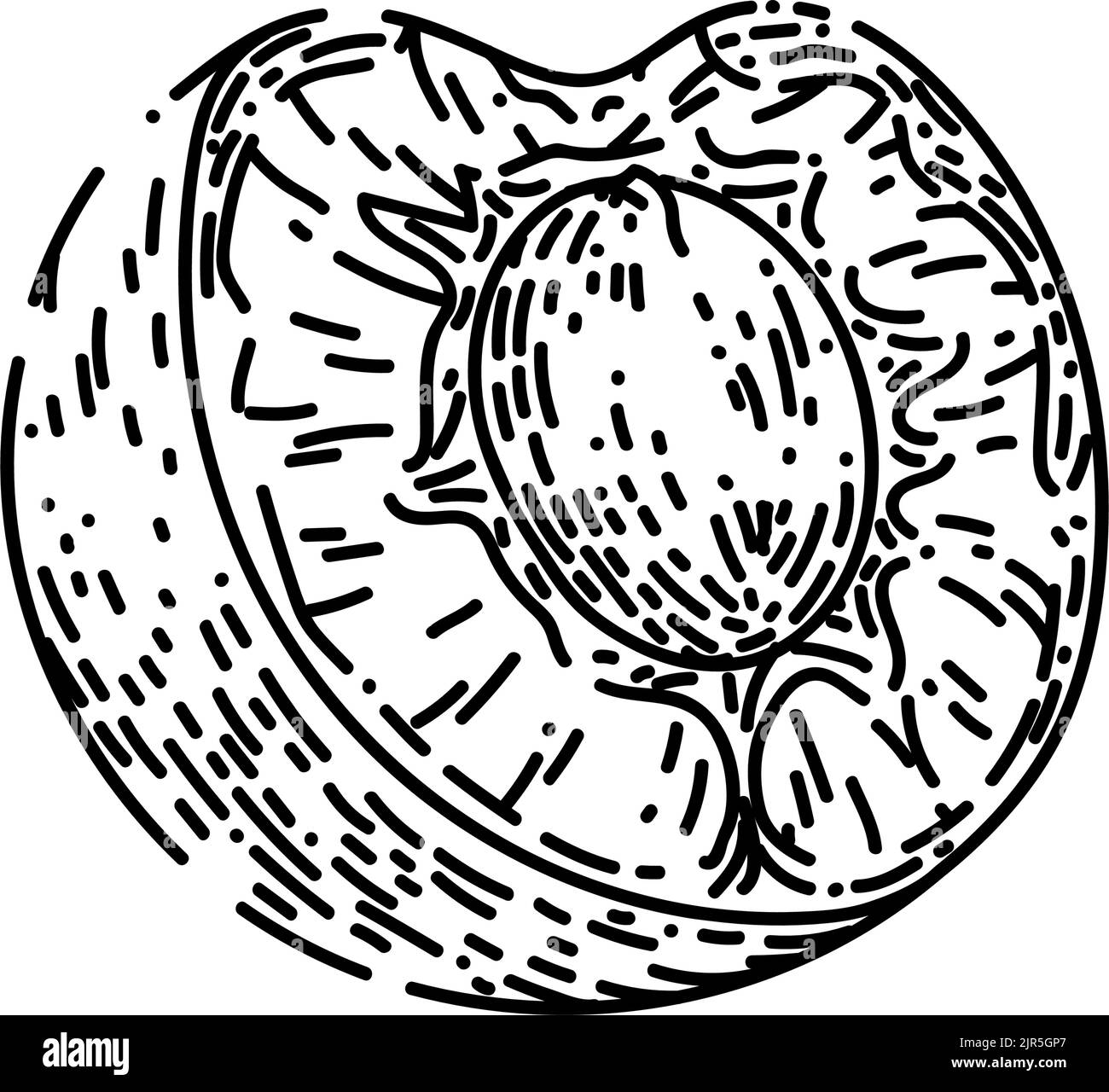 vecteur dessiné à la main d'esquisse de cerisier Illustration de Vecteur