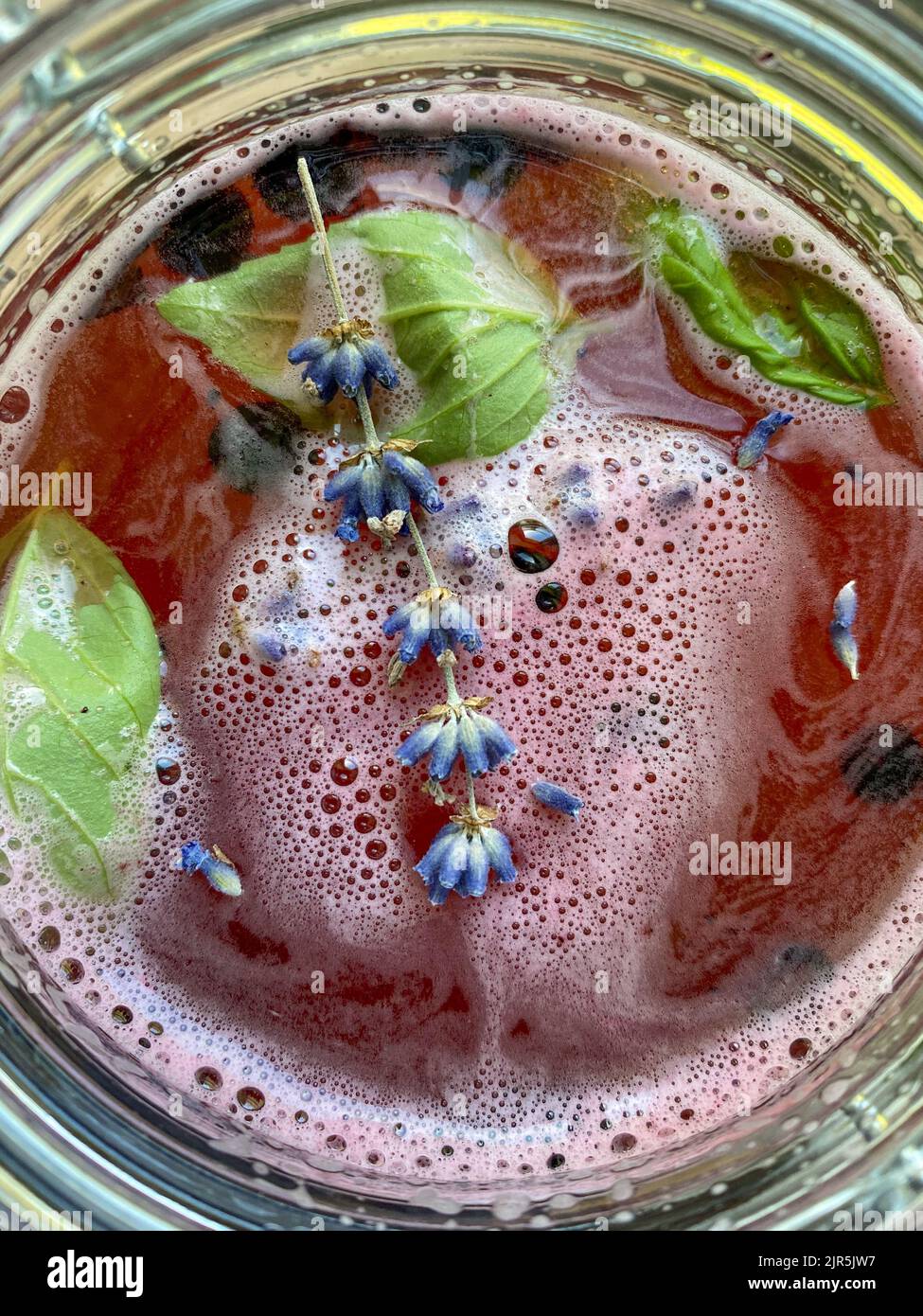 Suraliment de kombucha non alcogolique ou alcoolique, fermenté et cru. Thé glacé avec probiotique naturel sain dans de grands pots en verre, fermentant Banque D'Images