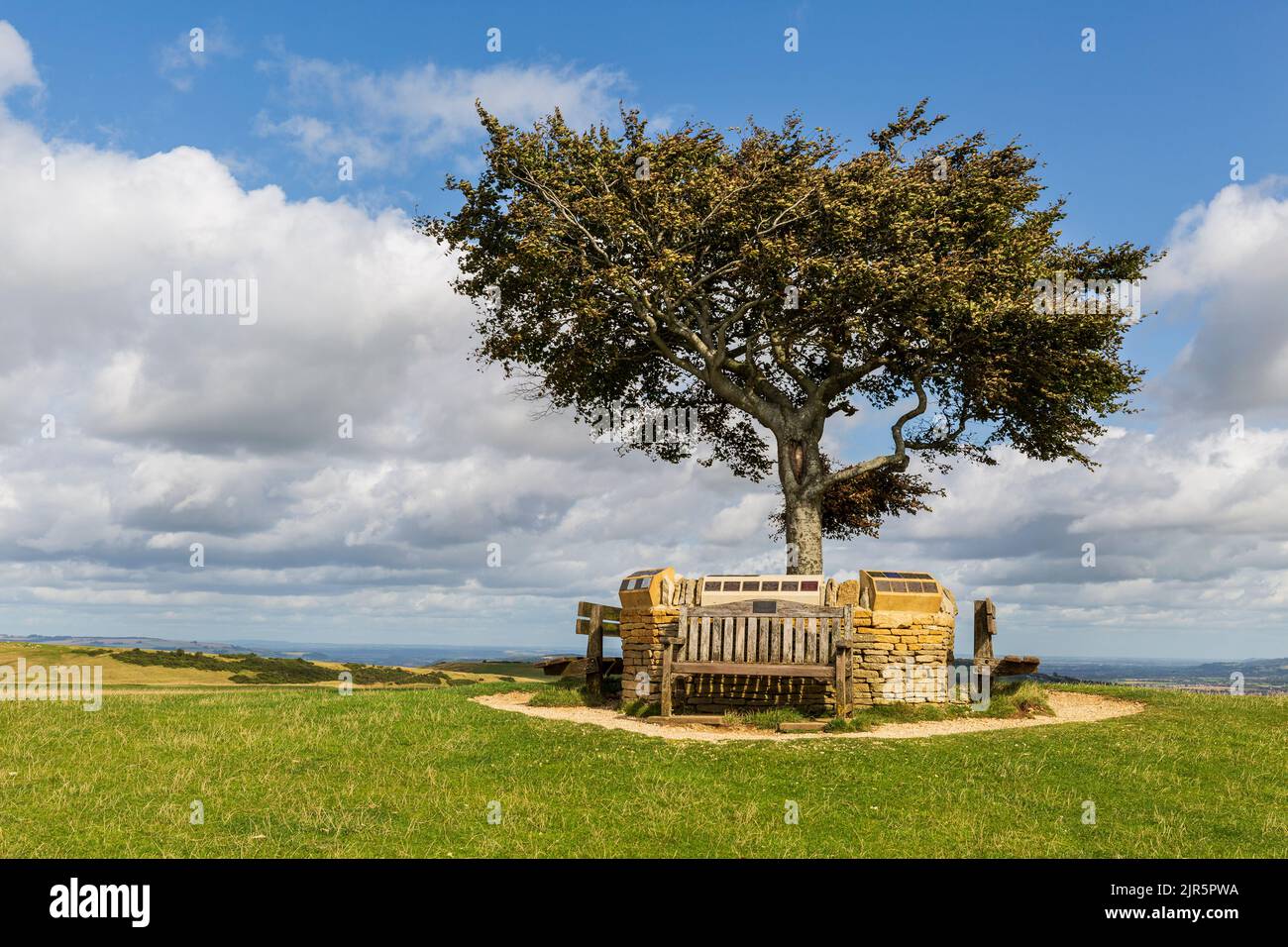 Le plus haut arbre des Cotswolds et Memorial Wall sur Cleeve Common près de Cheltenham Spa, Angleterre Banque D'Images