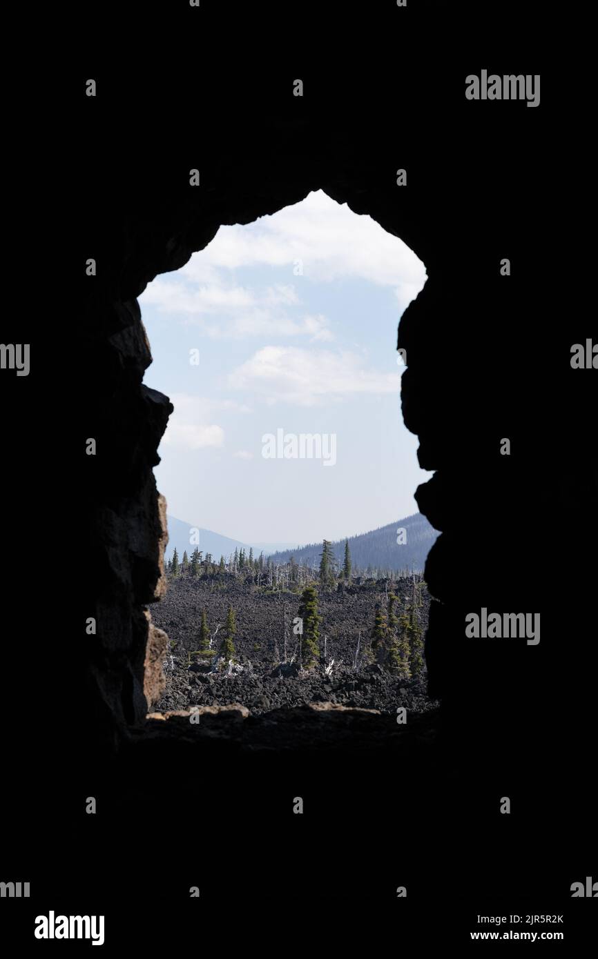 Vue sur les arbres et le flux de lave vu depuis une fenêtre de l'observatoire de Dee Wright à McKenzie Pass, en Oregon, aux États-Unis. Banque D'Images