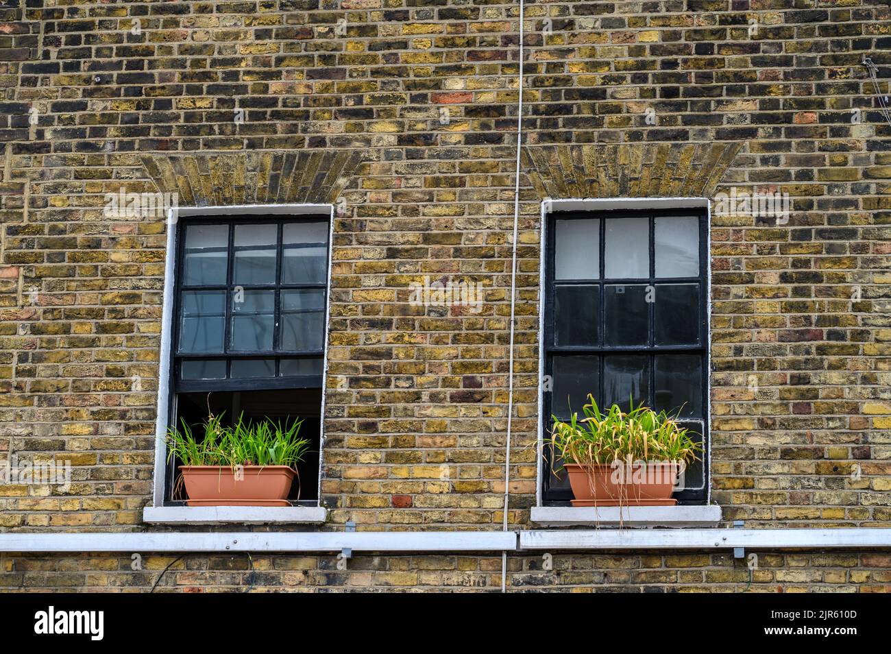 LONDRES - 20 mai 2022: Deux vieilles fenêtres et pots de plantes sur le vieux mur de brique Banque D'Images