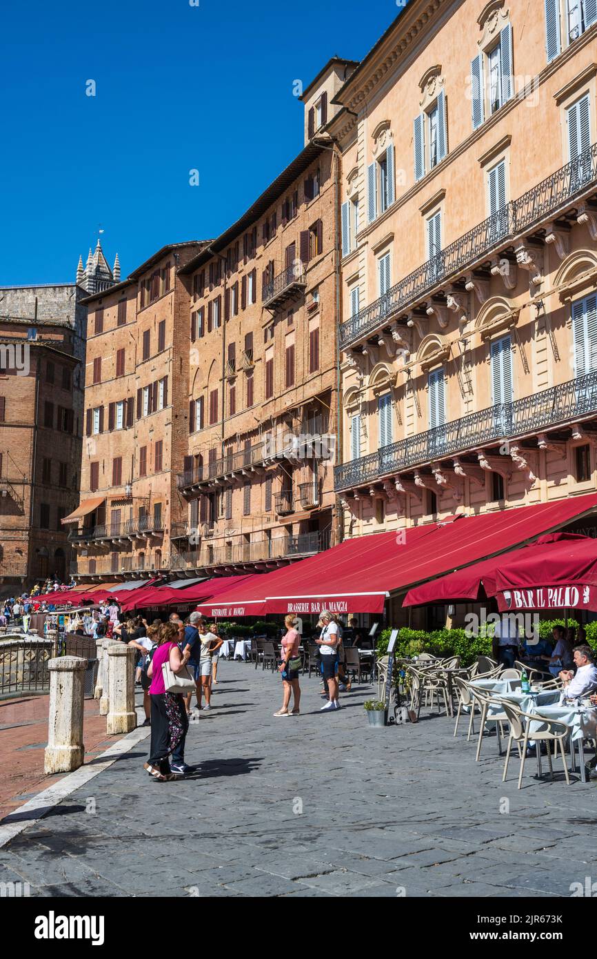 Cafés extérieurs entourant la Piazza del Campo à Sienne, Toscane, Italie Banque D'Images