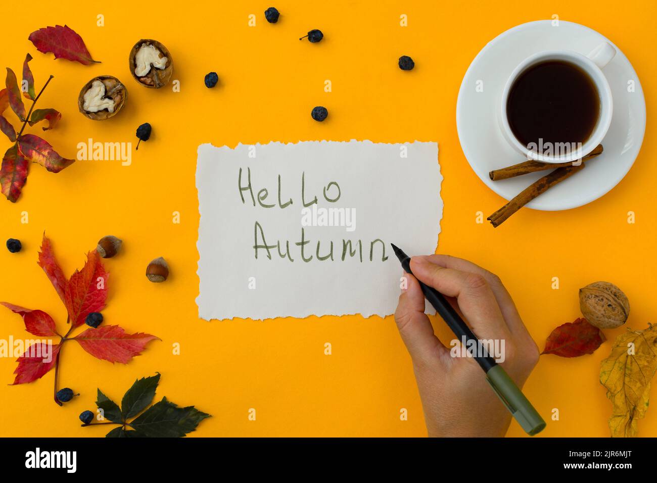 Composition de l'automne vue du dessus. Une couche uniforme de noix, de feuilles, de baies, de fleurs d'automne sur fond orange vif. Main d'une femme avec une tasse de café Banque D'Images