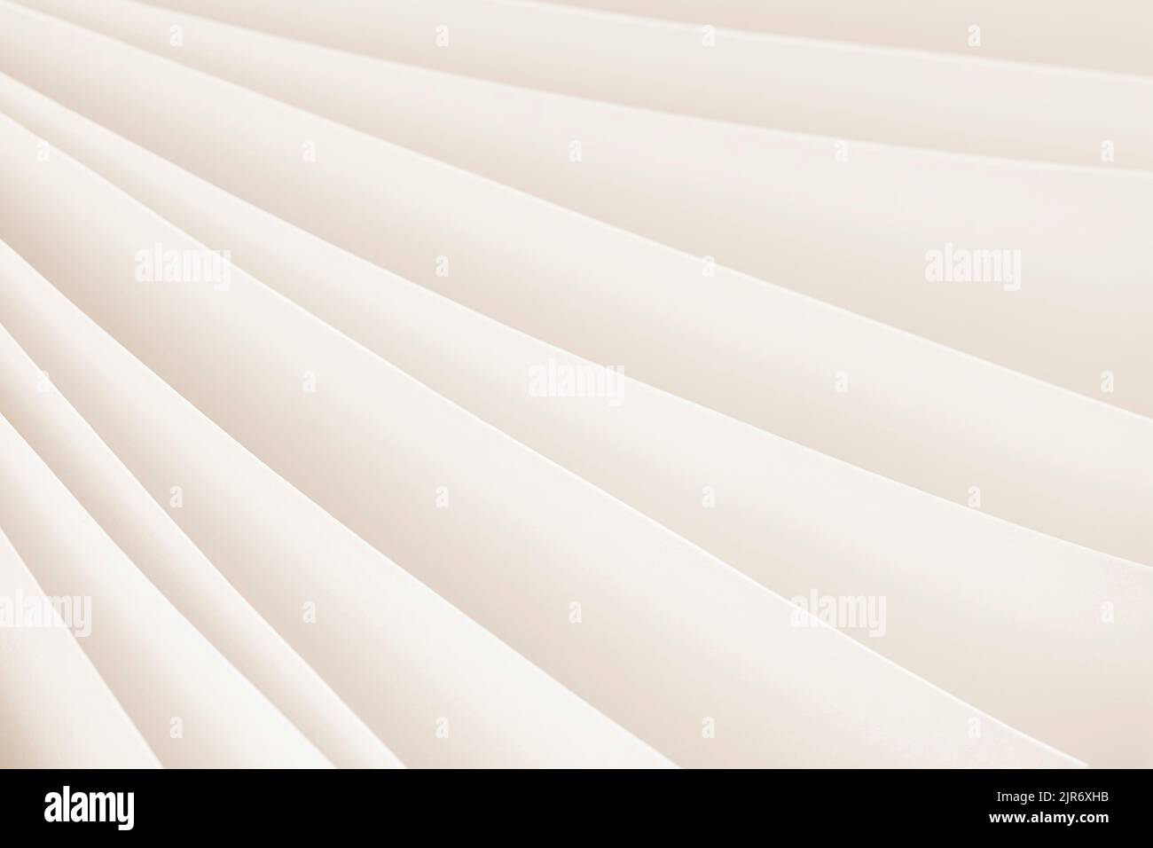 Gros plan des pages du bloc-notes ouvertes. Éducation, concept d'étude Banque D'Images