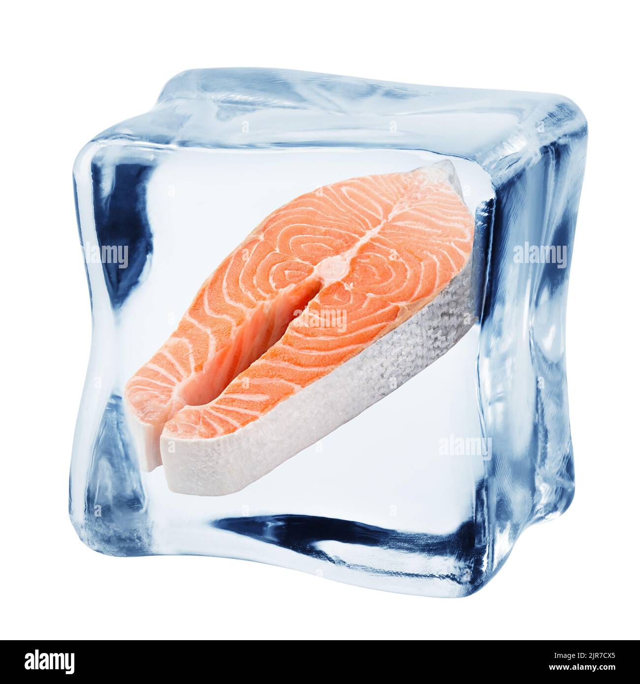 saumon dans un cube de glace, isolé sur fond blanc, chemin d'écrêtage, pleine profondeur de champ Banque D'Images