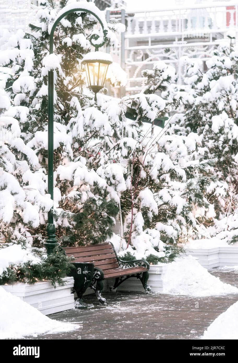 Magnifique feu de rue lumineux au-dessus du banc de parc entouré de sapins enneigés avec des lumières de la foire traditionnelle de Noël. Concept de vacances. Hiver saison des vacances arrière-plan. Banque D'Images