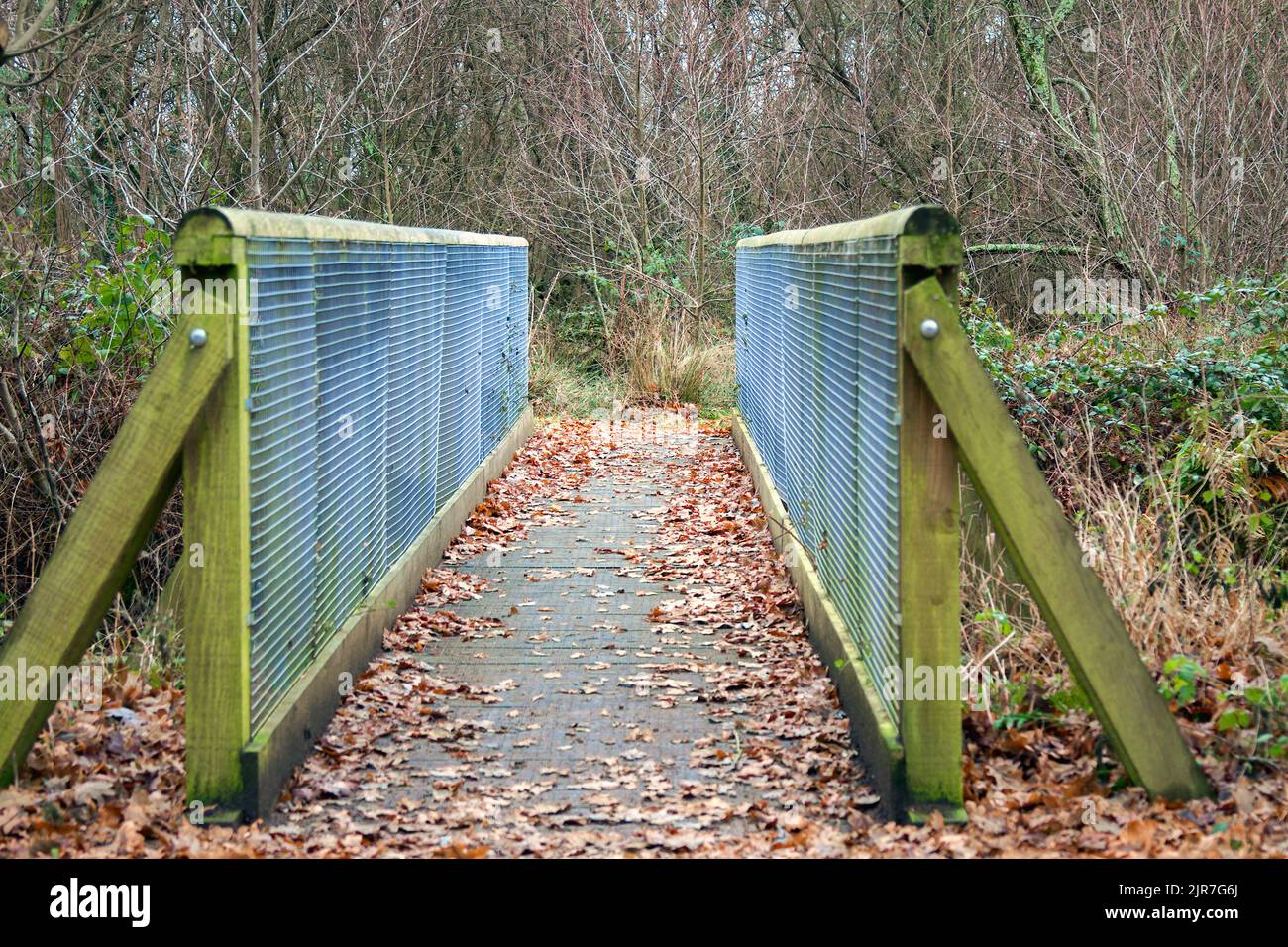 Passerelle en bois, Blashford Lakes nature Reserve Hampshire, Royaume-Uni Banque D'Images