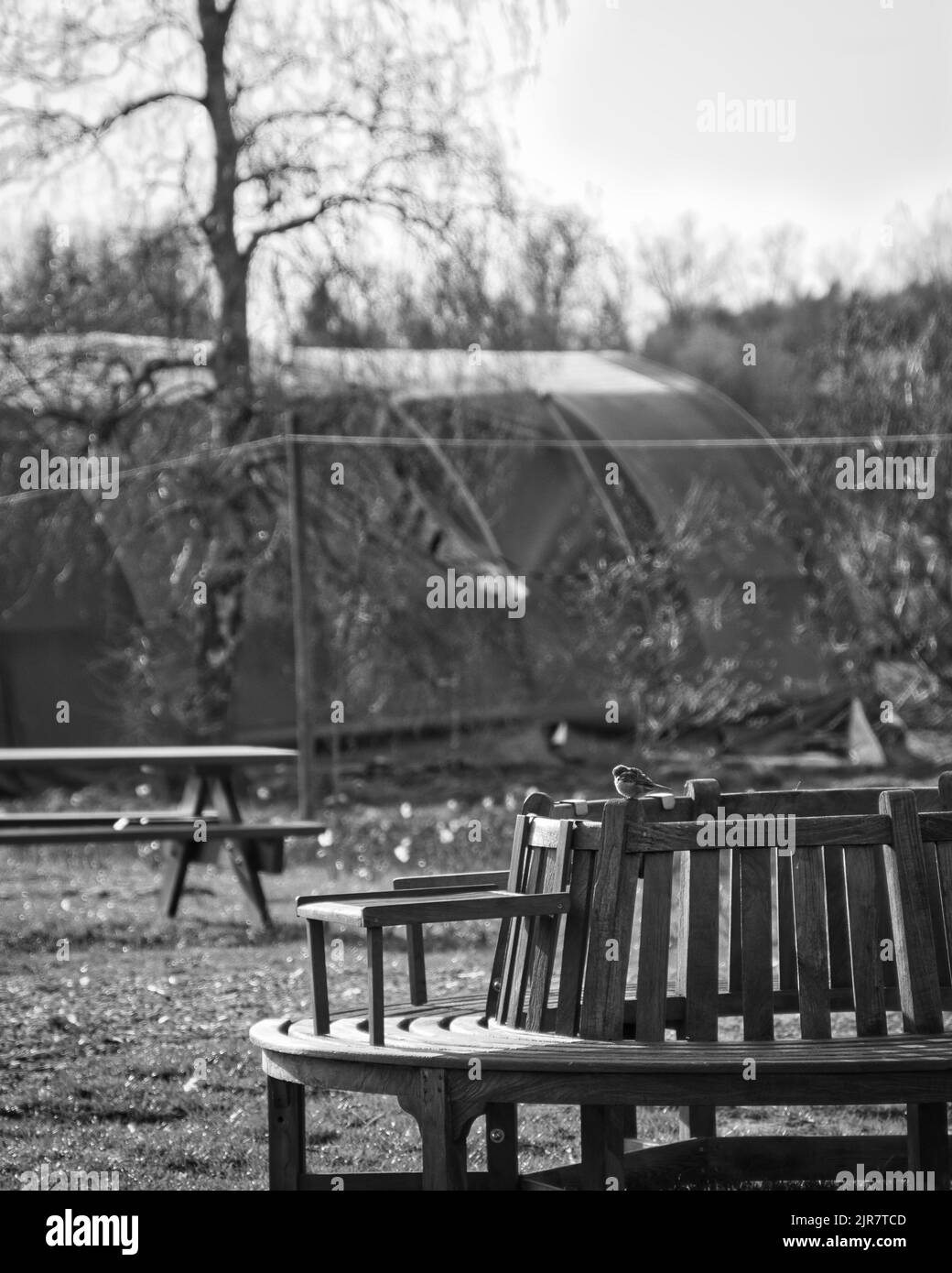 Une photo verticale d'un parc avec des arbres à la lumière du jour Banque D'Images