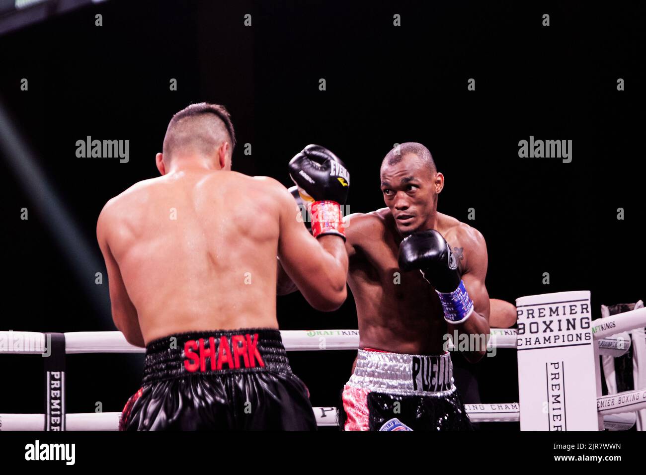 Boxeur professionnel WBA intérimaire super-léger Alberto Puello défaites WBA Super-léger Batyr Akhmedov dans un match de boxe professionnel Banque D'Images