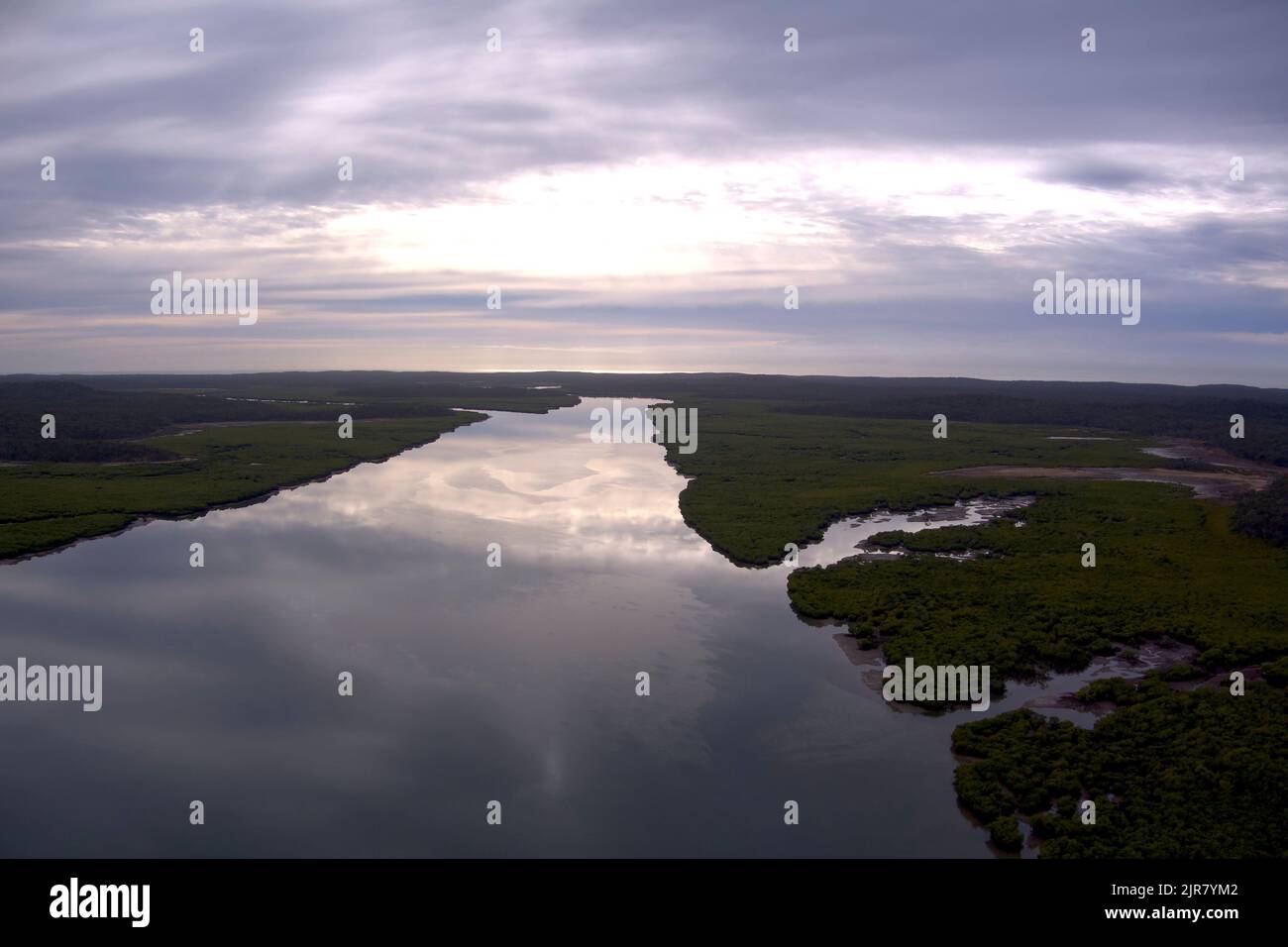 Antenne de mangroves le long des rives de Graham Creek sur l'île Curtis