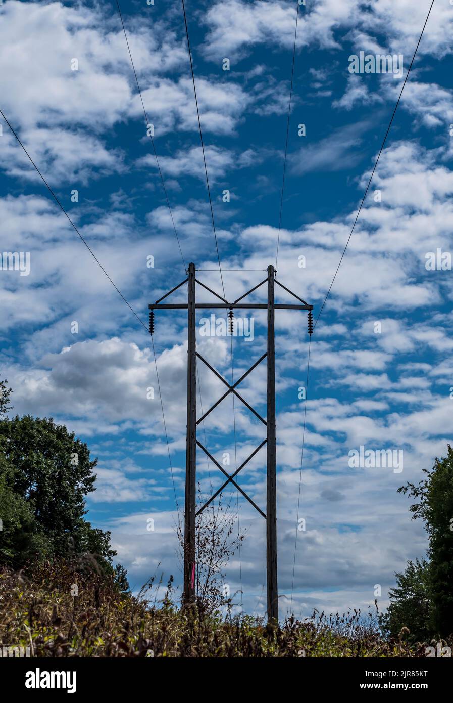 Lignes électriques à travers les bois sur une bande de terre à Warren, Pennsylvanie, États-Unis lors d'une journée ensoleillée d'été Banque D'Images