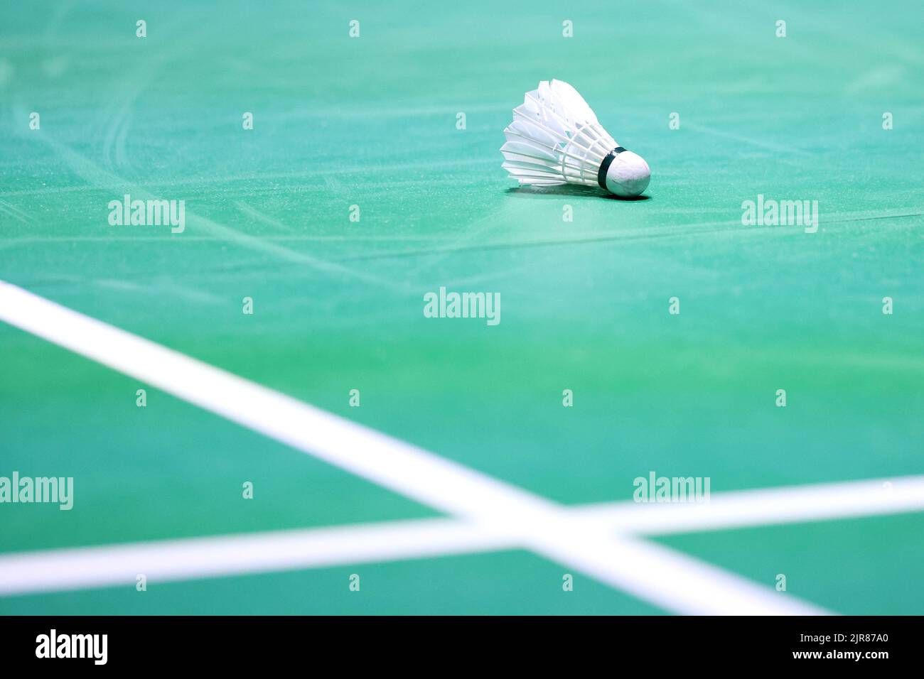 Shuttle/General View, 22 AOÛT 2022 - Badminton : TotalEnergies BWF Championnats du monde 2022 au Tokyo Metropolitan Gymnasium à Tokyo, Japon. (Photo de Naoki Nishimura/AFLO SPORT) Banque D'Images