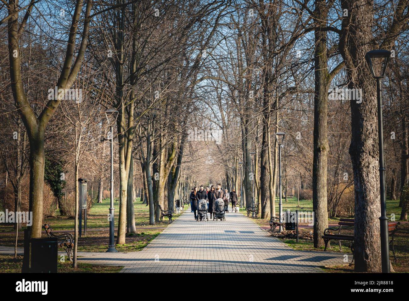 Photo du parc de gradski, le parc de la ville de Pancevo, à Voïvodine, Serbie, avec une jeune famille serbe, deux pères, et des bébés dans une poussette, walki Banque D'Images