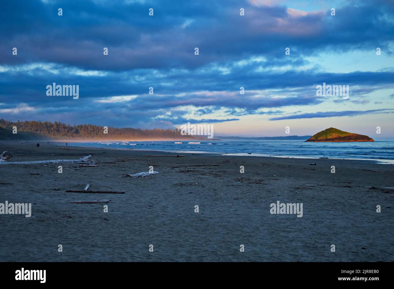 Belle plage de sable à Tofino, Canada, Colombie-Britannique Banque D'Images