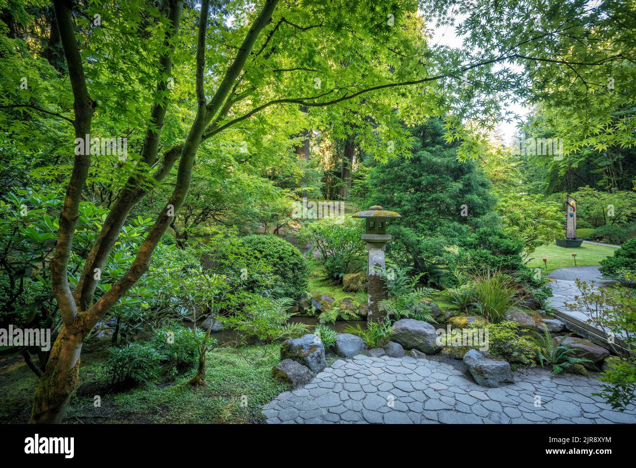 Paysage de jardin japonais à Portland Oregon Banque D'Images