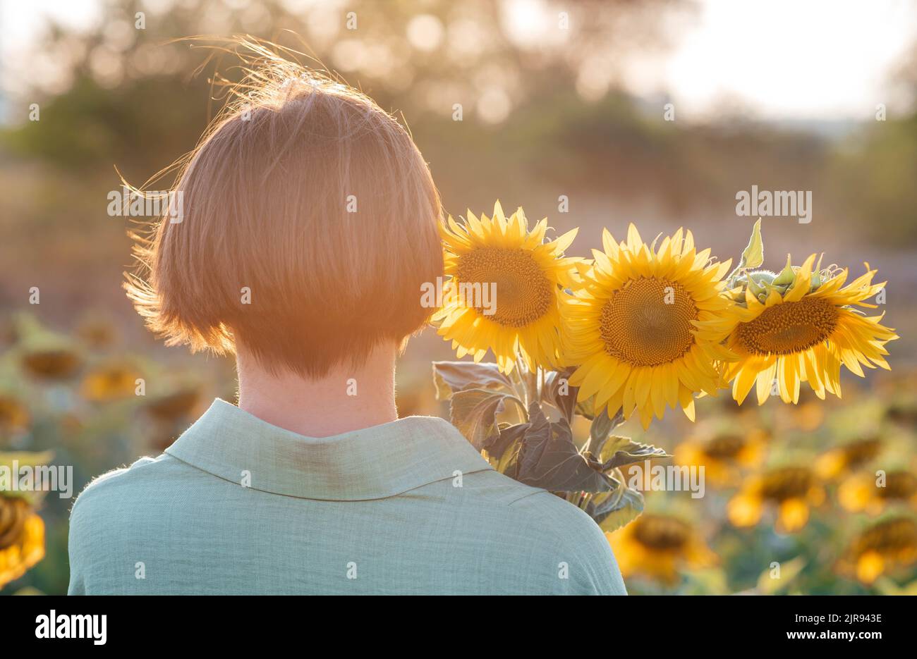 Une fille de brunette dans un champ avec des tournesols regarde dans la distance avec des tournesols dans ses mains. Banque D'Images