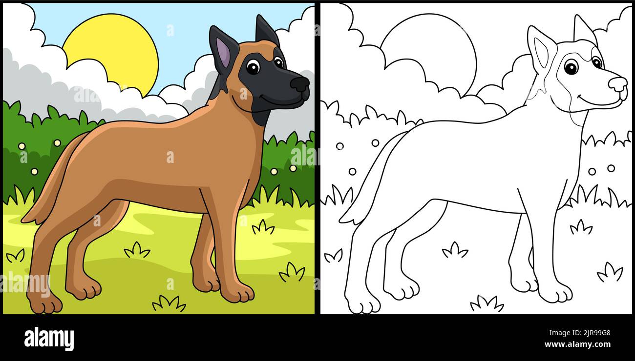 Illustration de la page de coloriage du chien belge Malinois Illustration de Vecteur