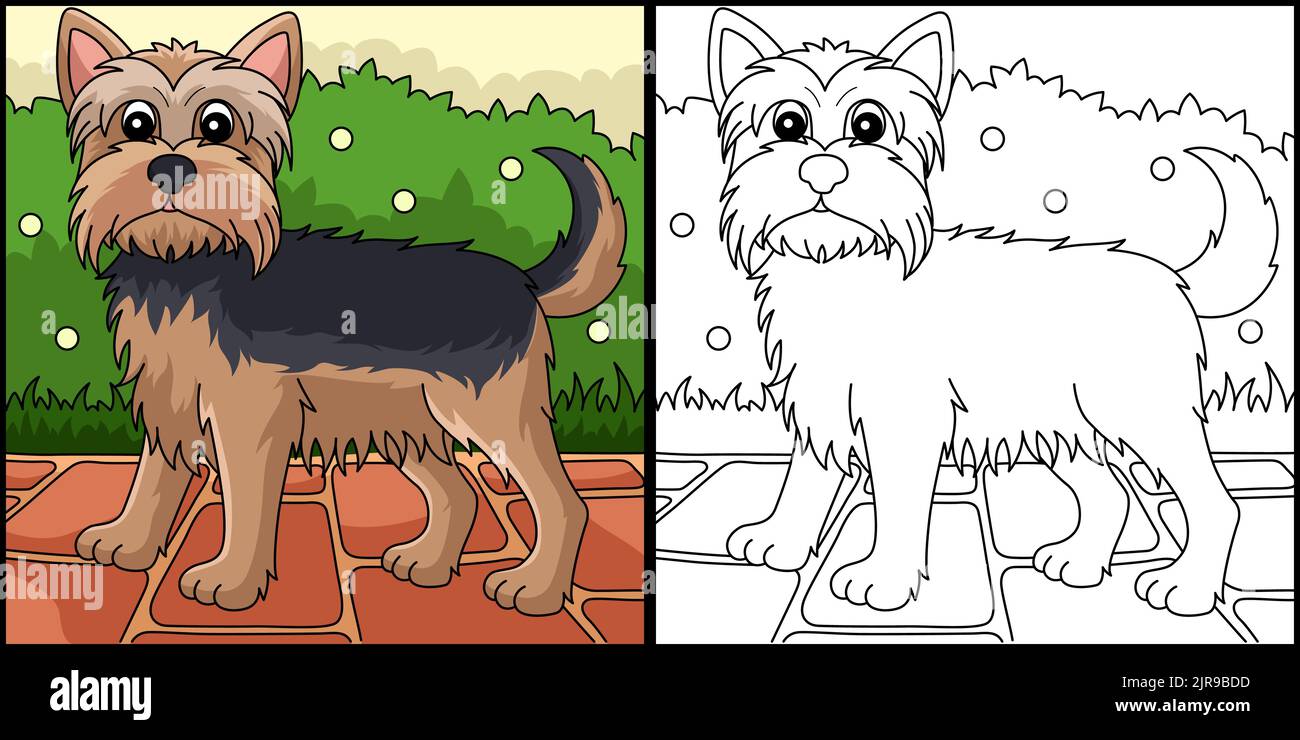 Illustration de la page de coloriage du chien du Yorkshire Terrier Illustration de Vecteur