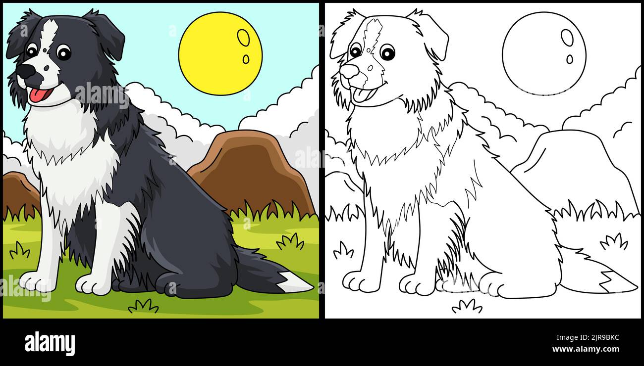 Illustration de la page de coloriage du chien de Collie de bordure Illustration de Vecteur