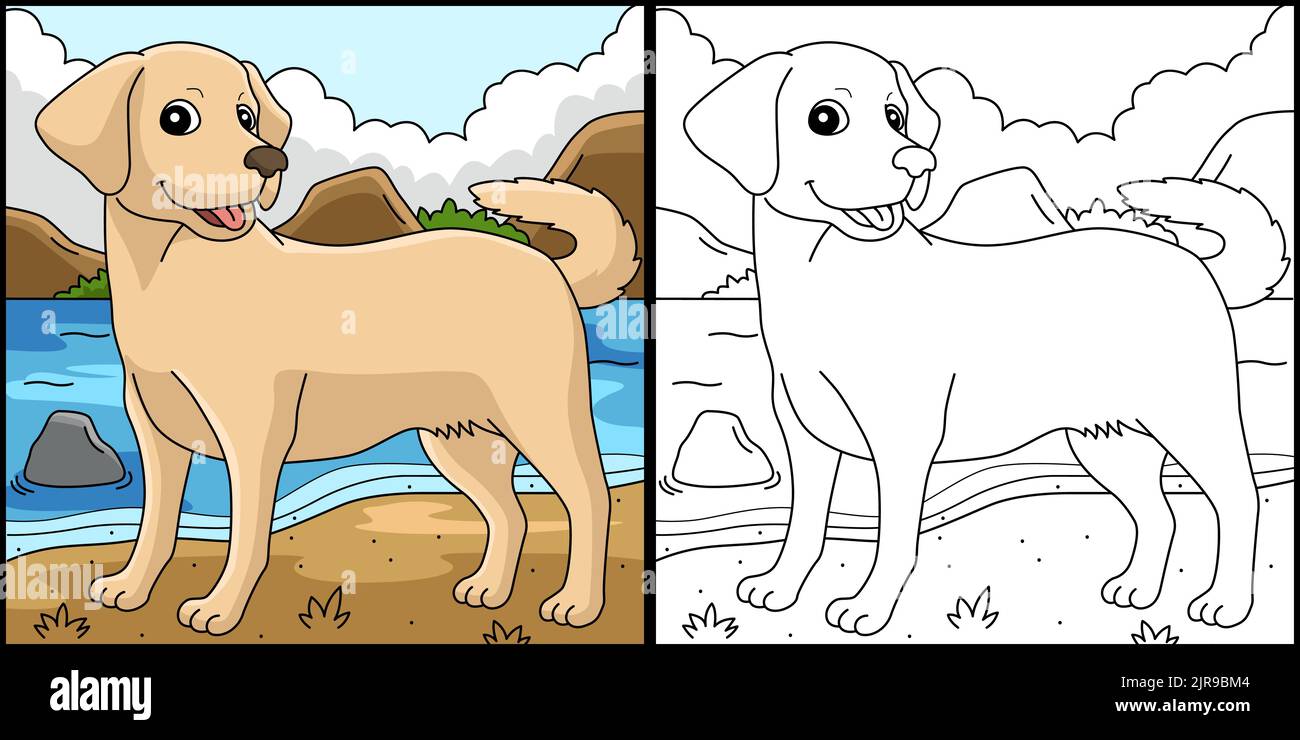 Illustration de la page de coloriage du chien Labrador Retriever Illustration de Vecteur