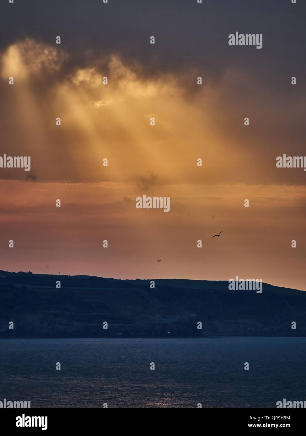 Les poutres d'un soleil couchant éclatent à travers de lourds nuages au-dessus de la baie entre Whitby et Sandsend, en ramassant des goélands qui s'envolent au-dessus des falaises et du promontoire. Banque D'Images