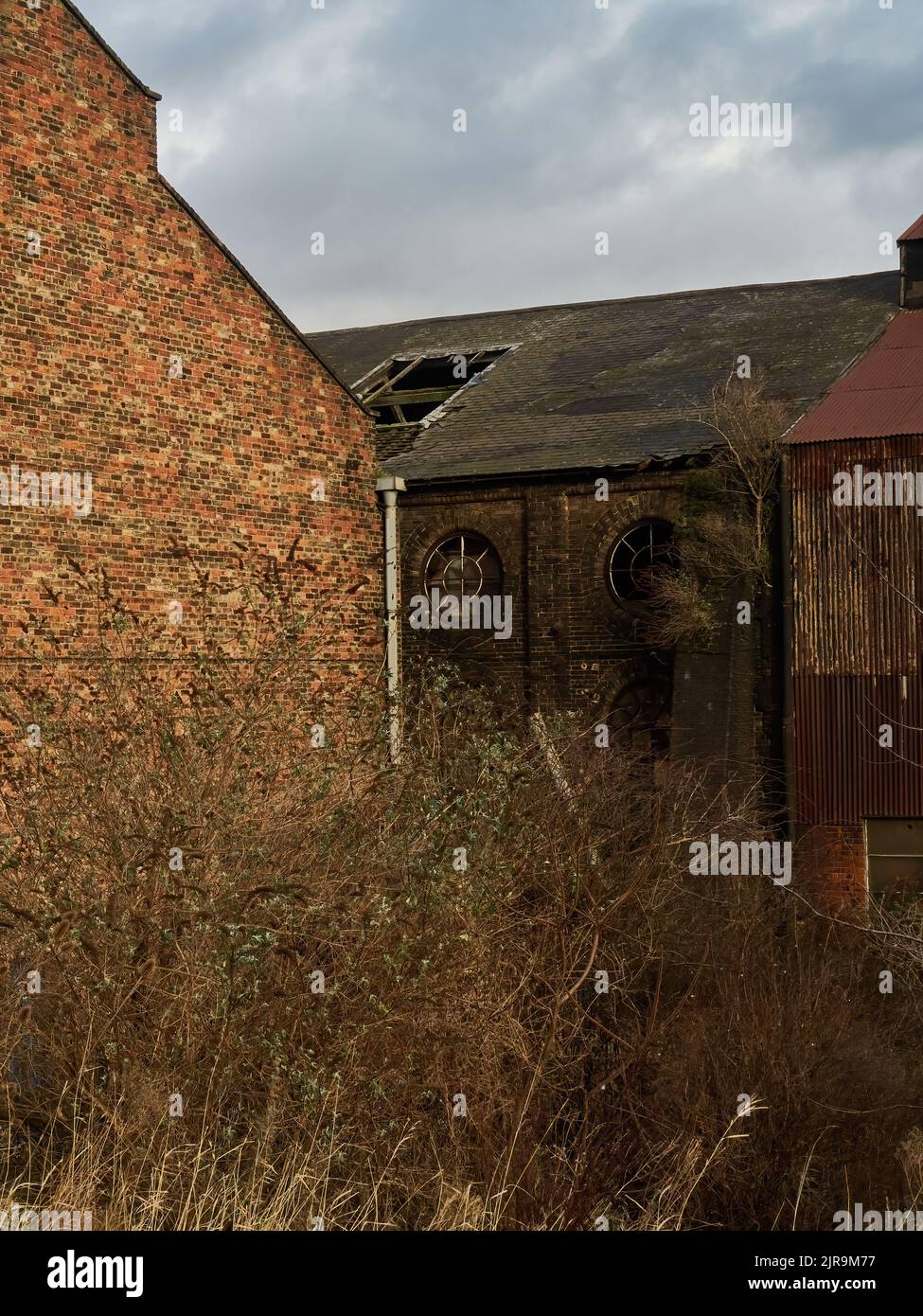 Un détail d'un paysage post-industriel, les entrepôts et usines autrefois très animés de Middlehaven, maintenant surcultivés, abandonnés et abandonnés. Banque D'Images