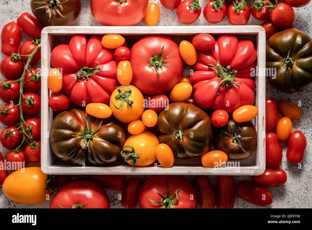 Tomates fraîches, crues et colorées de différentes tailles et de différents types dans une boîte en bois blanc Banque D'Images