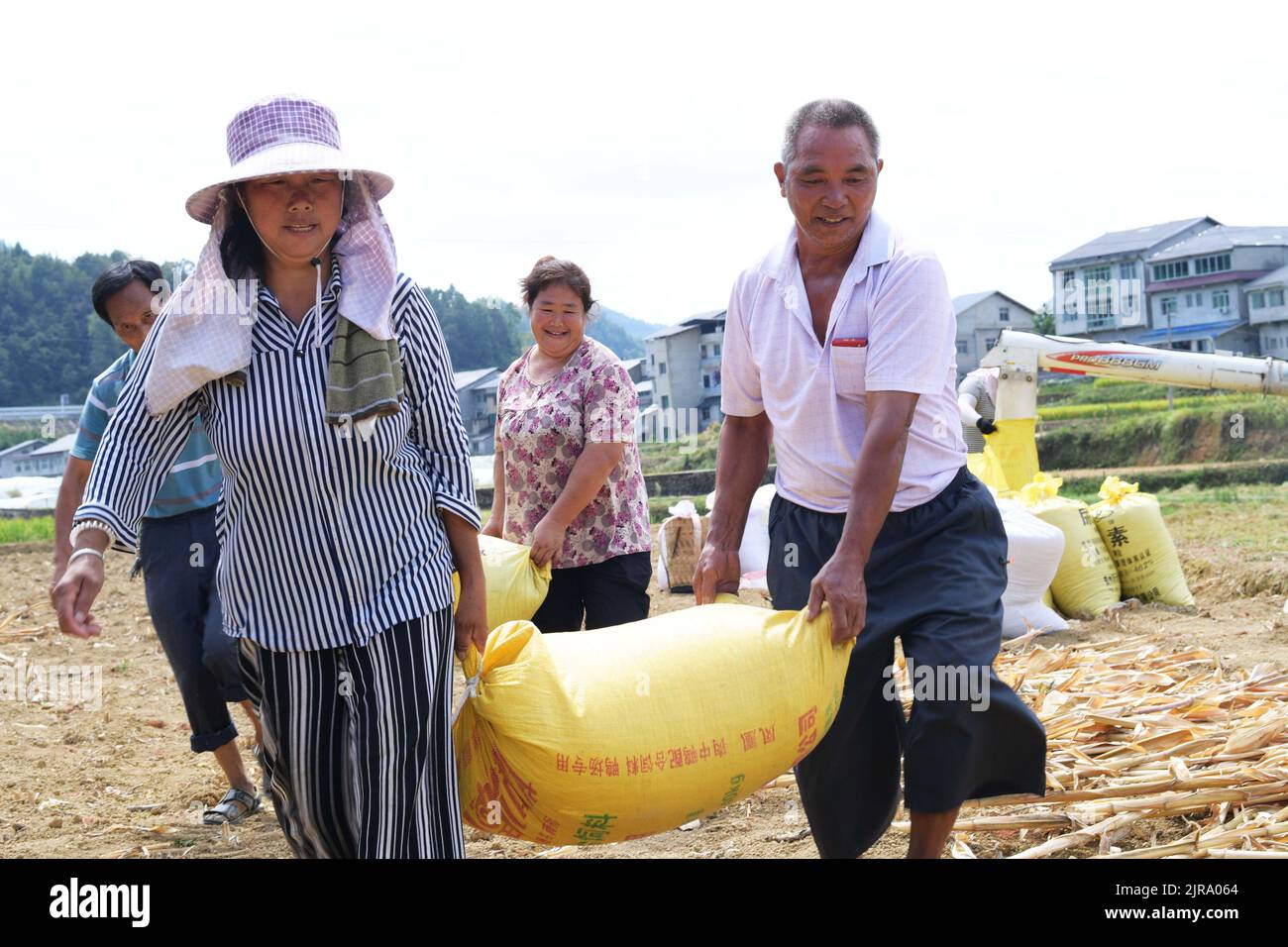 Suiyang, comté de Suiyang, dans la province de Guizhou, au sud-ouest de la Chine. 23rd août 2022. Les agriculteurs déplacent des paquets de riz dans le canton de Wangcao, comté de Suiyang, dans la province de Guizhou, dans le sud-ouest de la Chine, le 23 août 2022. Credit: Yang Ying/Xinhua/Alay Live News Banque D'Images