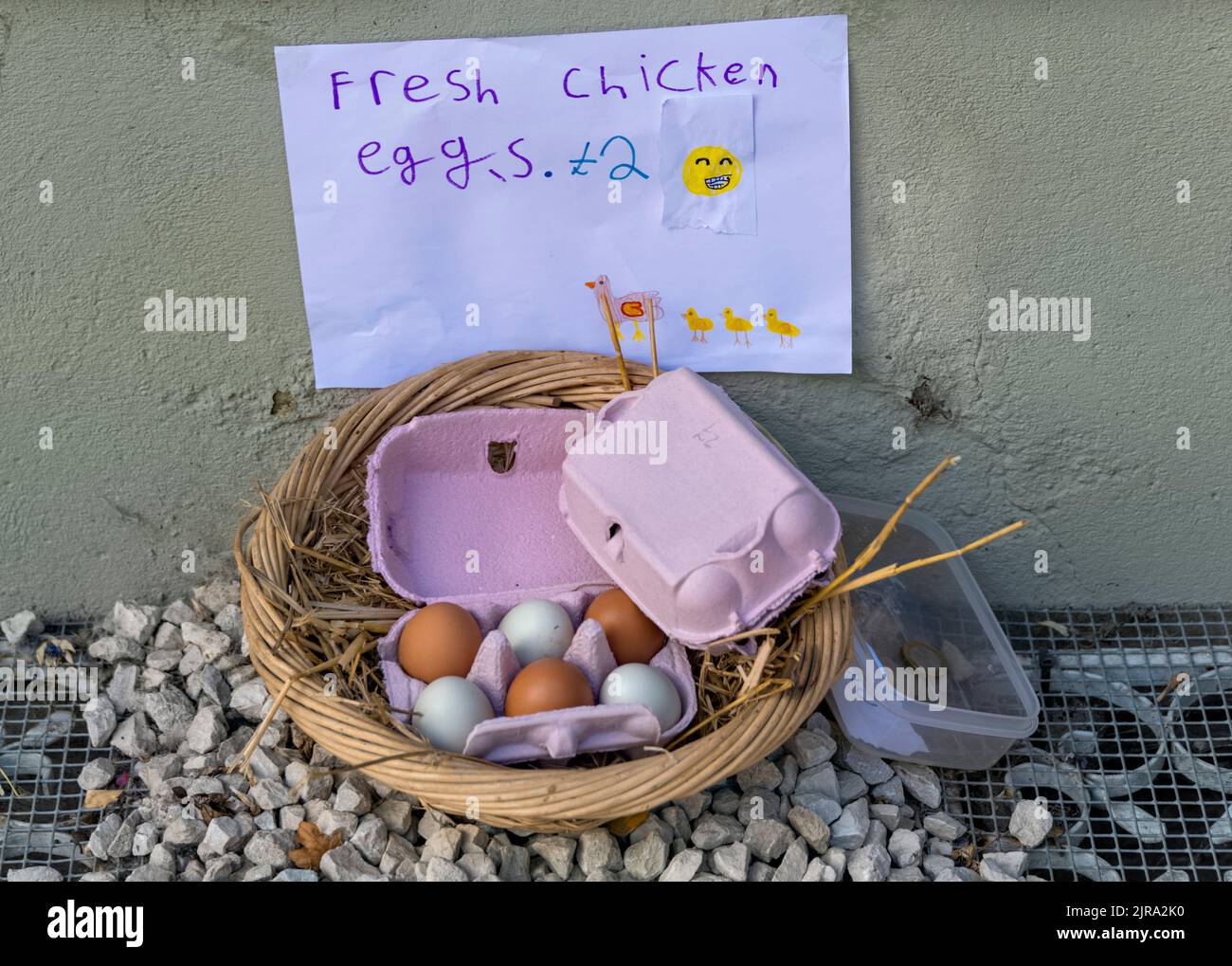 Œufs de poulet frais à vendre dans un petit panier en osier, Flamstead, Hertfordshire, Royaume-Uni Banque D'Images