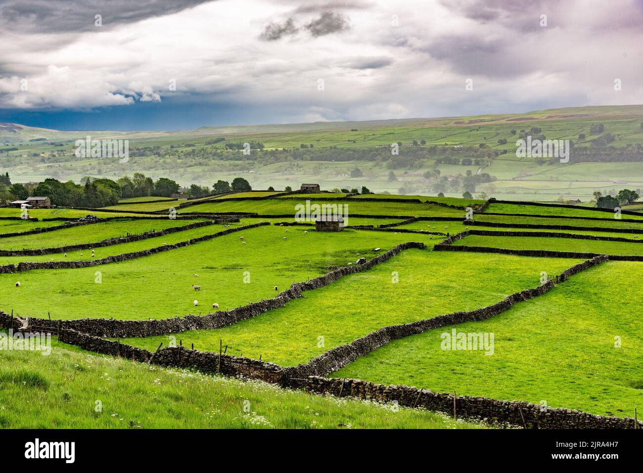 Vue sur les granges et les murs en pierre sous la pluie, Reeth, parc national de Yorkshire Dales, Richmondshire, North Yorkshire, Royaume-Uni. Banque D'Images