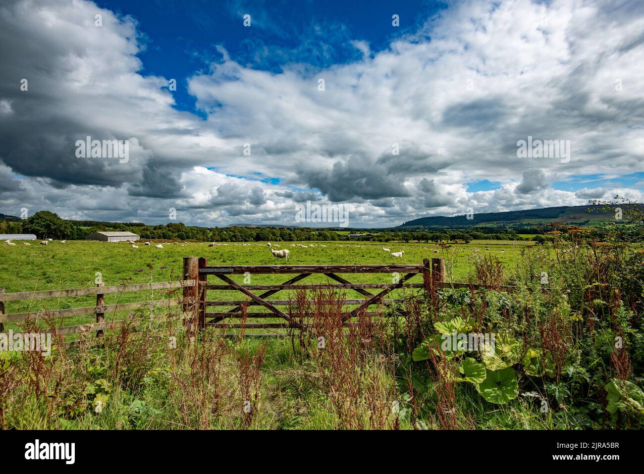 Vue sur une porte en bois et les nuages, Whitewell, Clitheroe, Lancashire, Royaume-Uni Banque D'Images