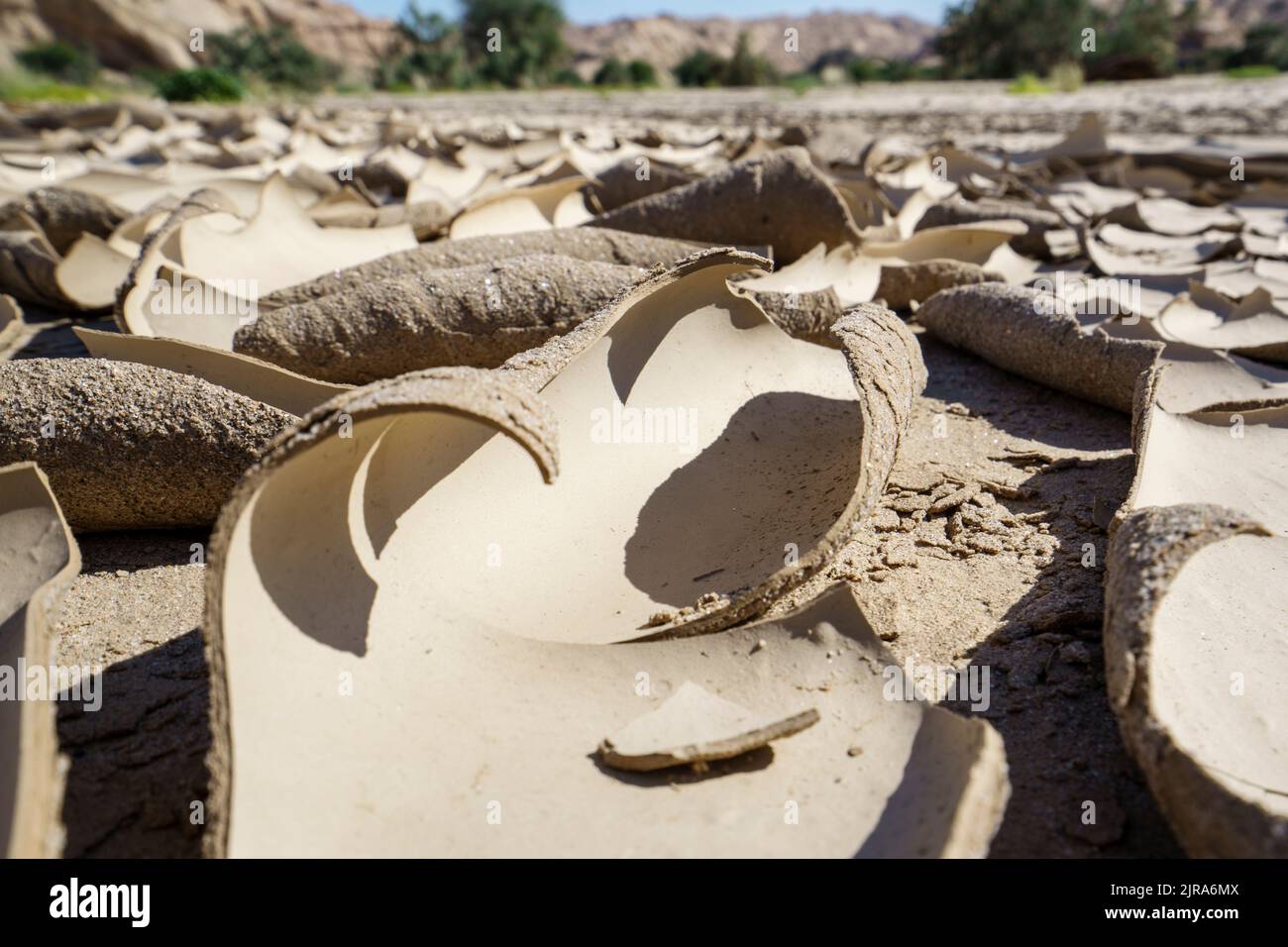 Image symbolique, espoir, environnement, changement climatique, morceau de bois mort dans les modèles de lit de rivière sec. Rivière Swakop, Namibie, Afrique Banque D'Images