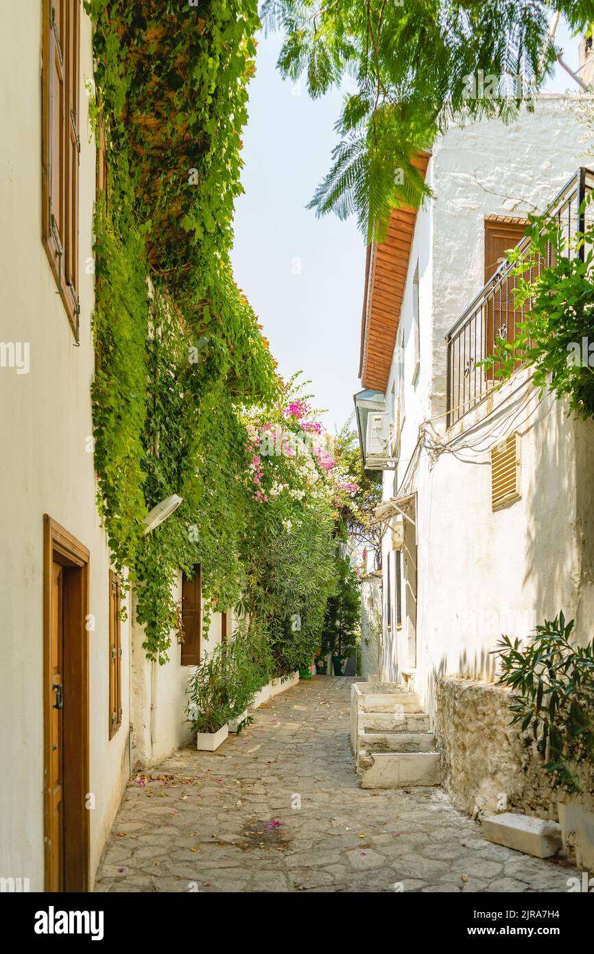 Rue étroite dans la vieille ville de Marmaris, Turquie . Belles vieilles maisons blanches pittoresques avec fleurs. Destination touristique populaire de vacances Banque D'Images