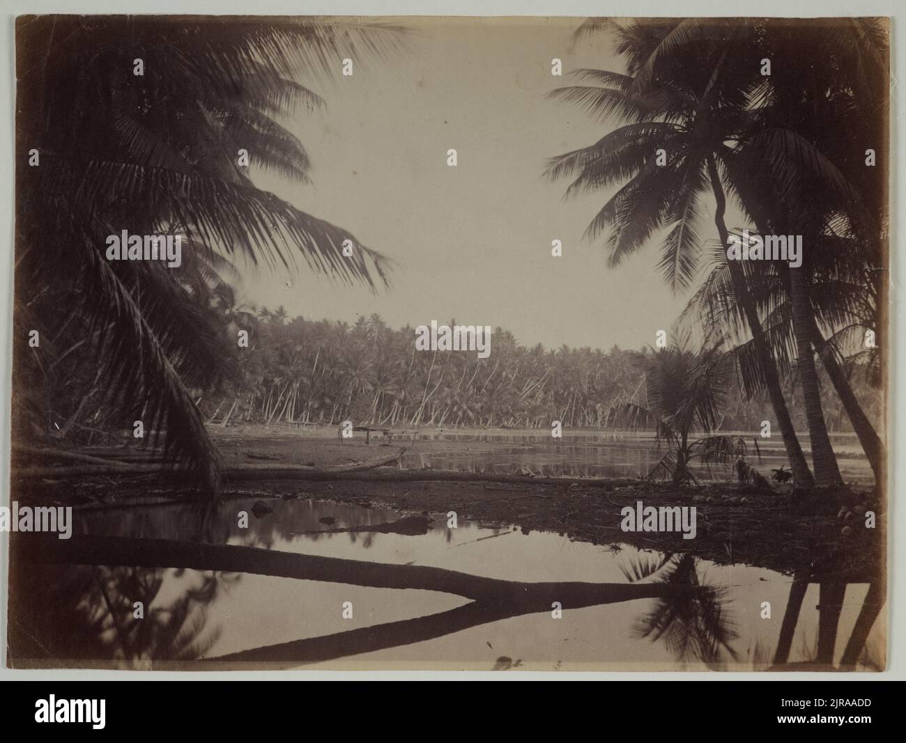 Pleasant Island, vers 1886, par Thomas Andrew. Banque D'Images