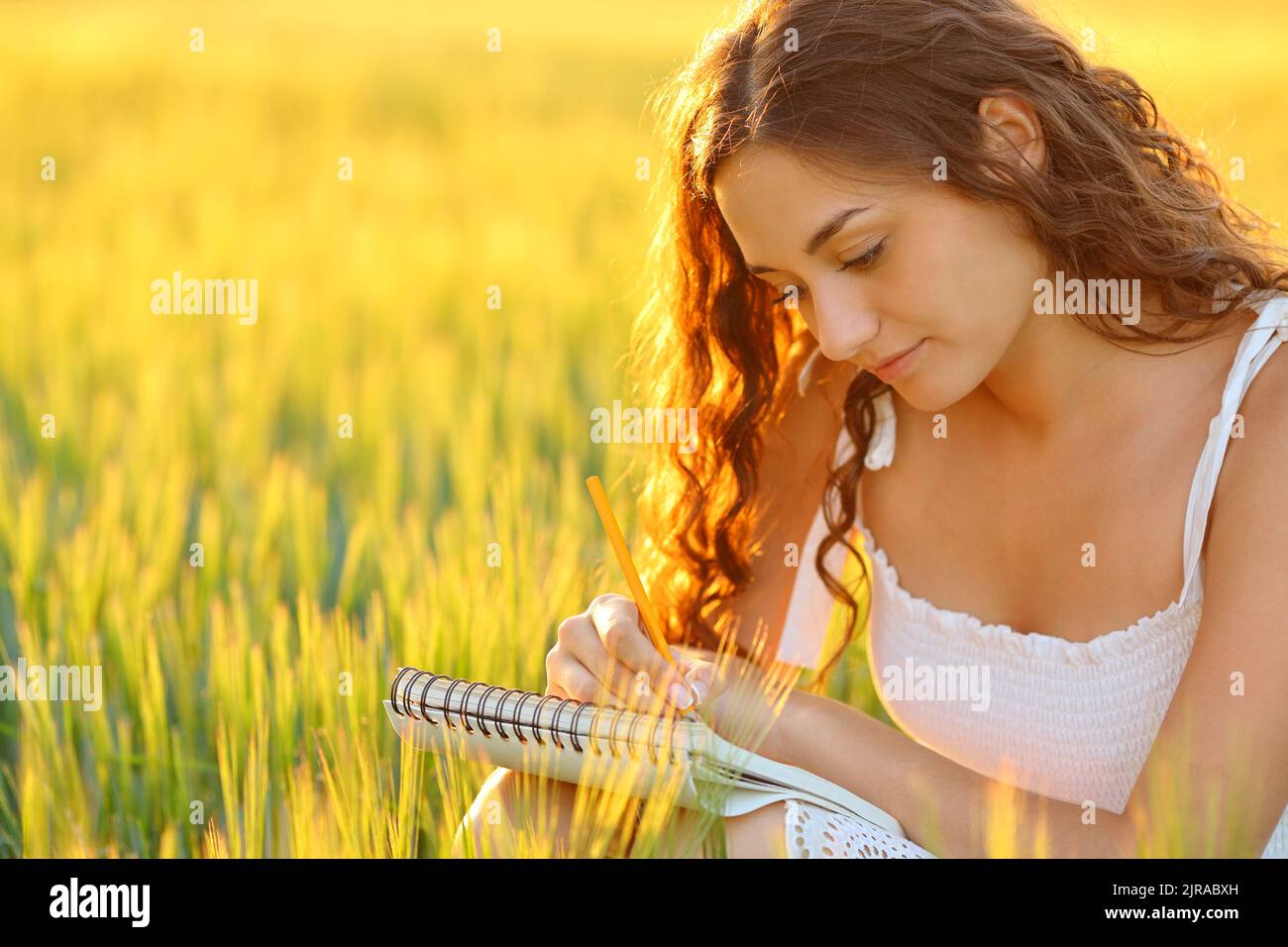 Femme qui dessine ou écrit dans un carnet dans un champ de blé Banque D'Images