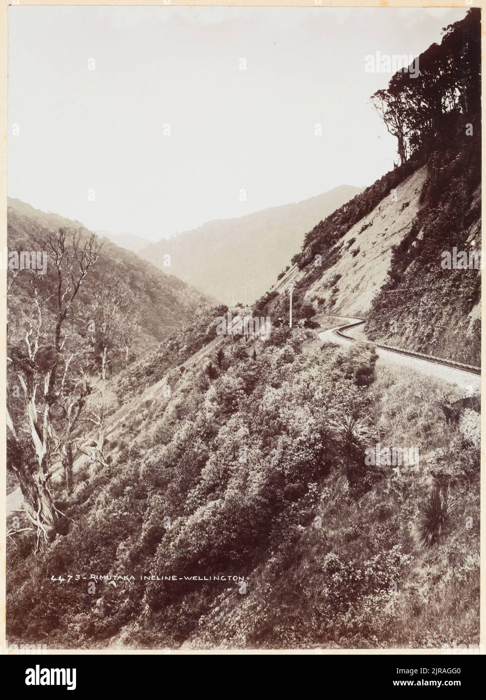 Rimutaka Incline, par Muir & Moodie, Burton Brothers. Banque D'Images
