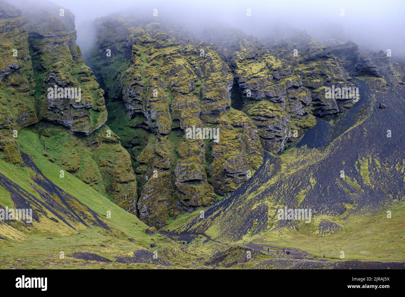 Gorge de Raudfeldsgja, Islande Banque D'Images Gorge de Raudfeldsgja, Islande Banque D'Images