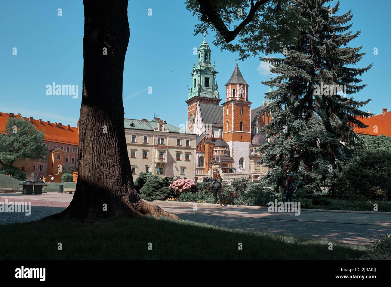 Château de Wawel à Cracovie Banque D'Images