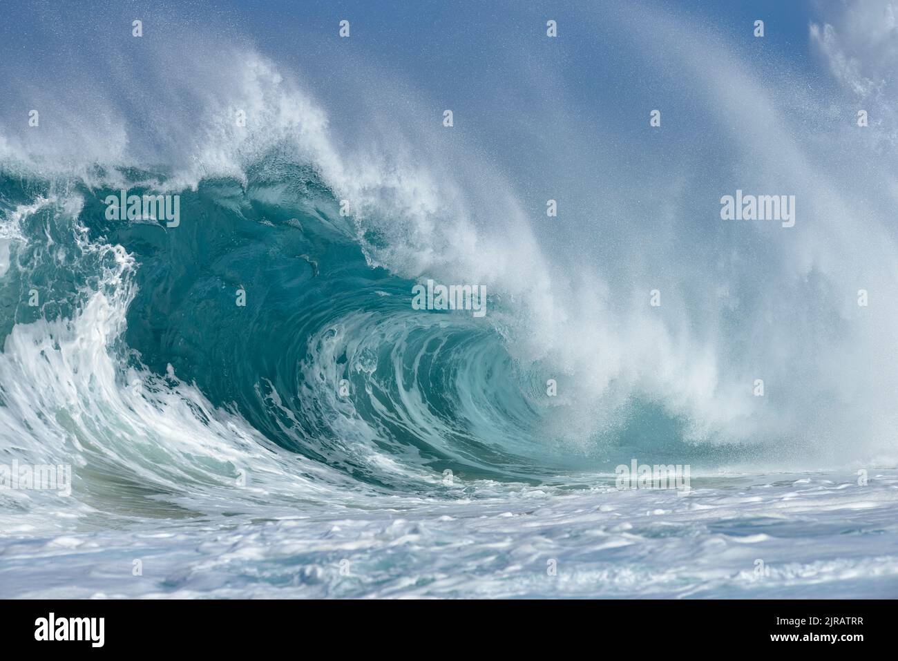 Grande vague d'éclaboussures de l'océan Pacifique Banque D'Images