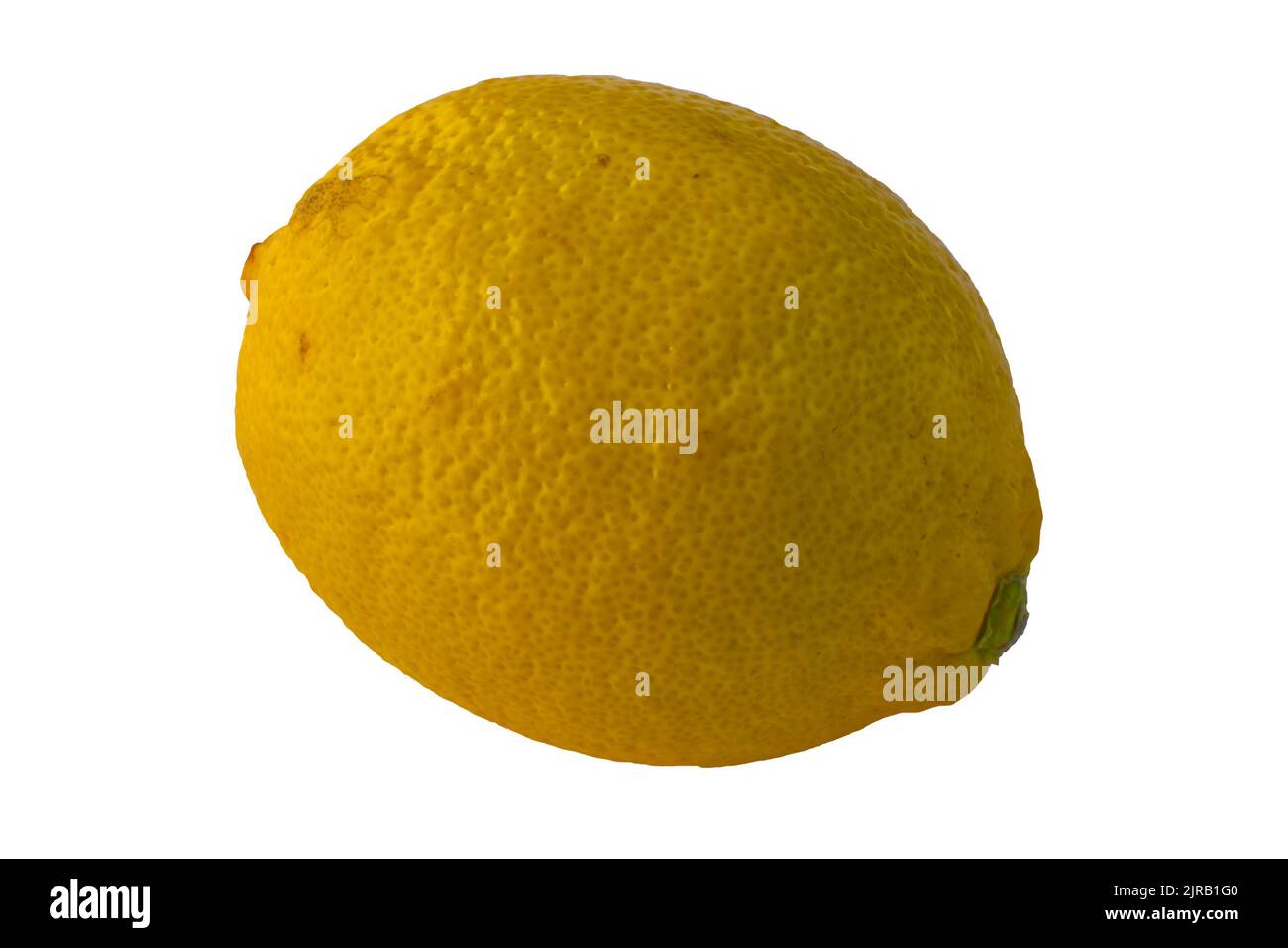Citron entier (Citrus limon rutaceae) isolé sur fond blanc Banque D'Images