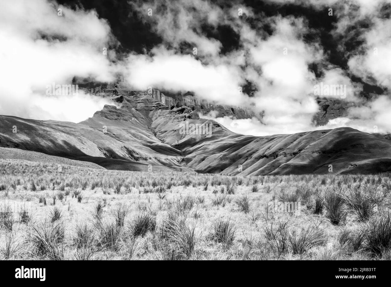 Le Grassland afro-alpin des montagnes du Drakensberg en noir et blanc avec les falaises de basalte obscurcies par des nuages qui s'élèvent de manière inquiétante en arrière-plan Banque D'Images