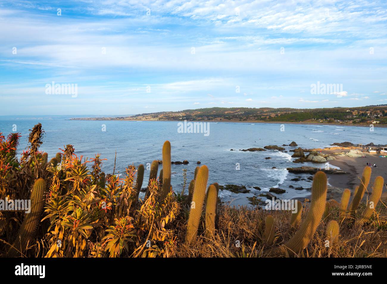 Vue de Pichilemu depuis Punta de Lobos, région VI, Chili Banque D'Images Vue de Pichilemu depuis Punta de Lobos, région VI, Chili Banque D'Images