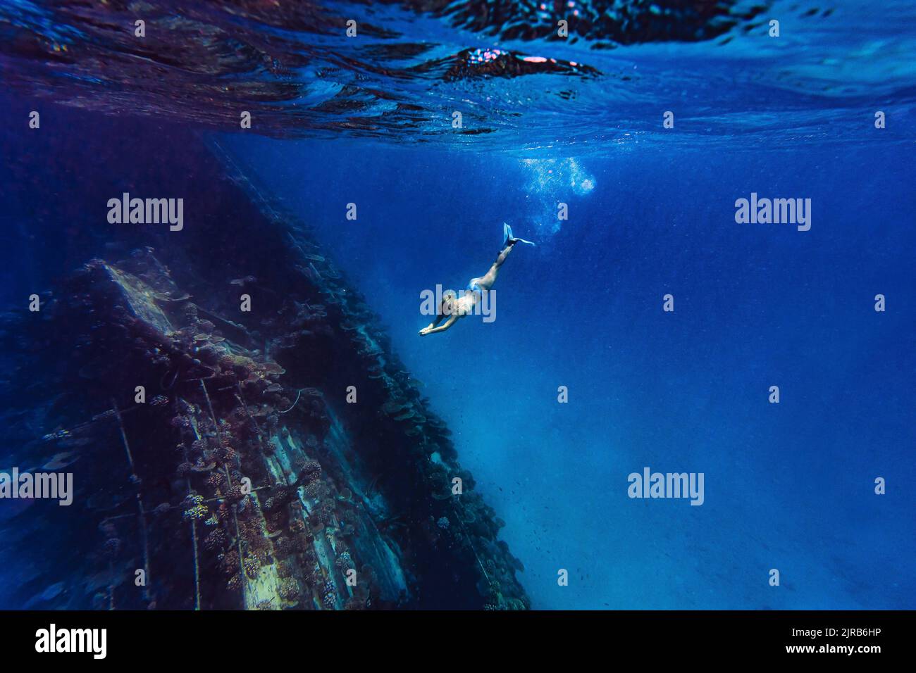 Femme plongée sous-marine près d'épave en mer Banque D'Images