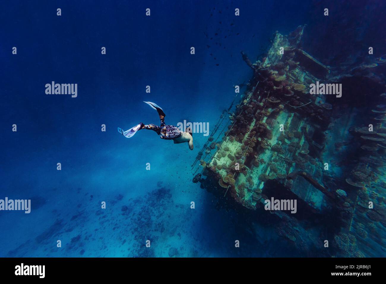 Homme avec des flippers de plongée nageant vers l'épave en mer Banque D'Images