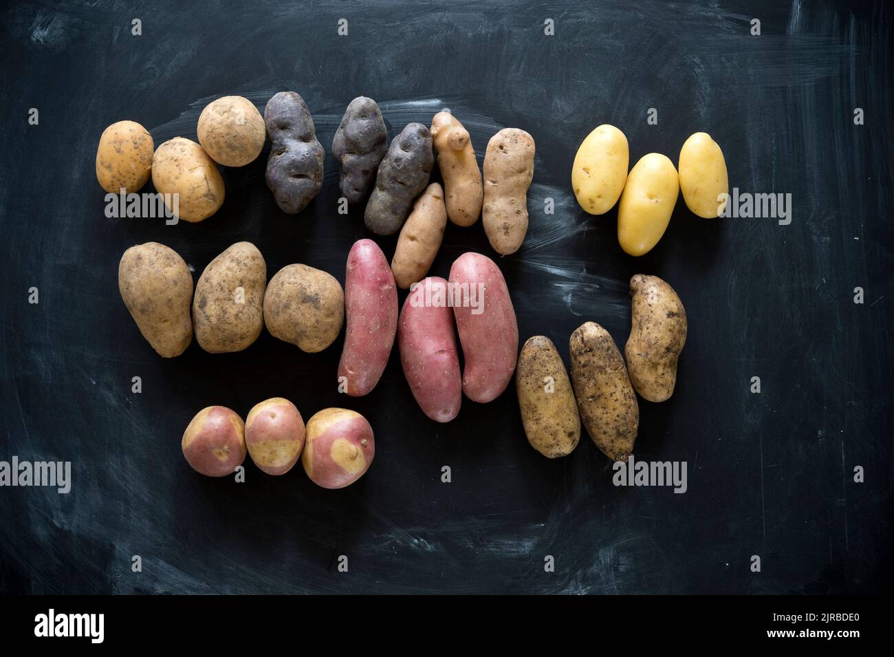 Studio de différentes variétés de pommes de terre plates posées sur fond noir Photo Stock Alamy