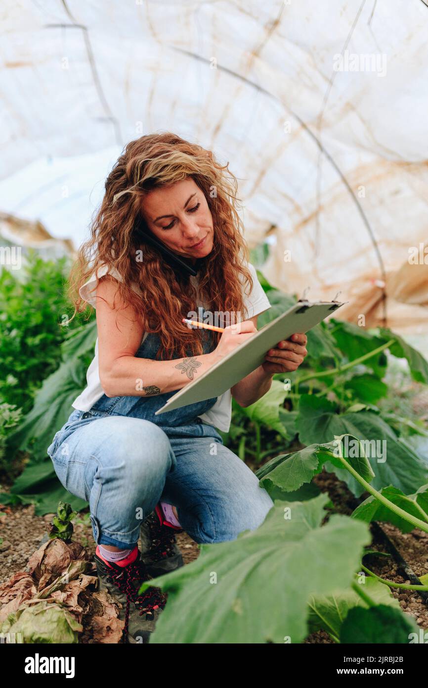 Agriculteur avec presse-papiers parlant sur smartphone et de prendre l'inventaire à serre Banque D'Images