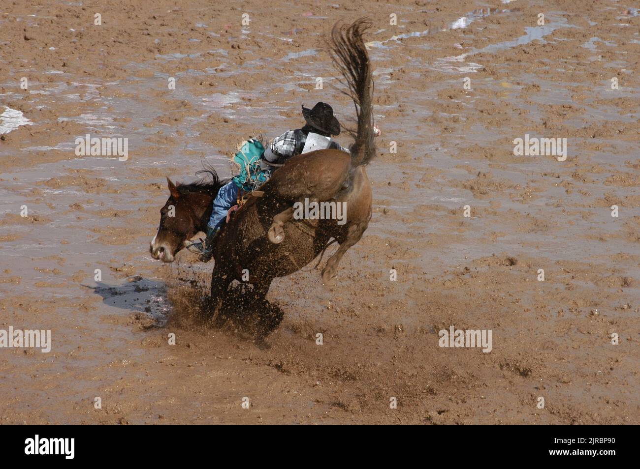 Une journée au Rodeo Banque D'Images