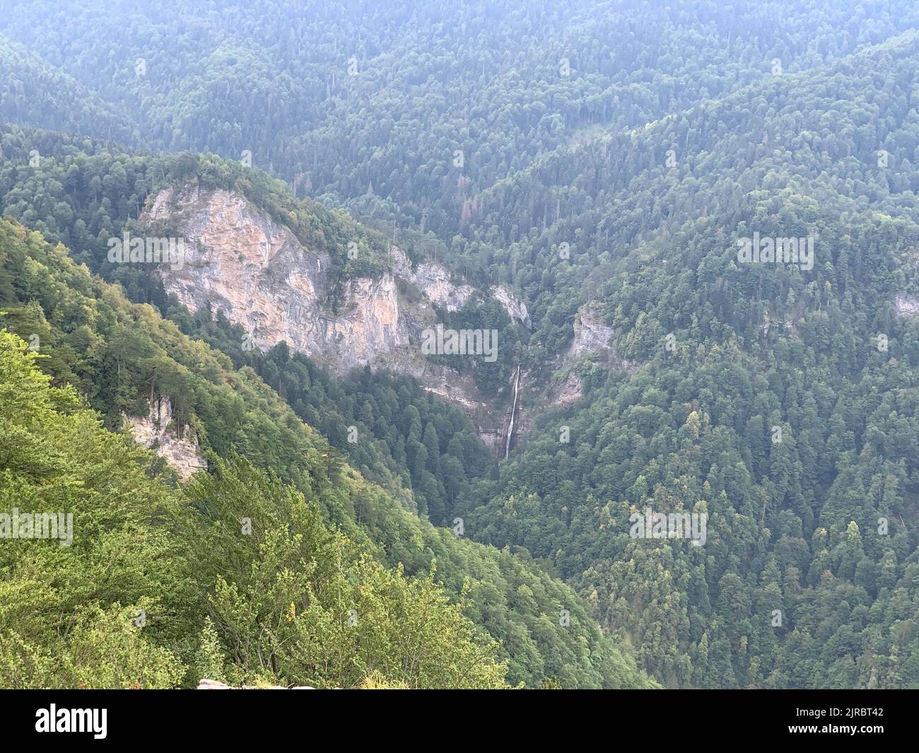 Réserve forestière de Perućica dans le parc national de Sutjeska, Bosnie et Hercegovina. Une des dernières forêts primitives d'Europe, site classé au patrimoine de l'UNESCO. Banque D'Images