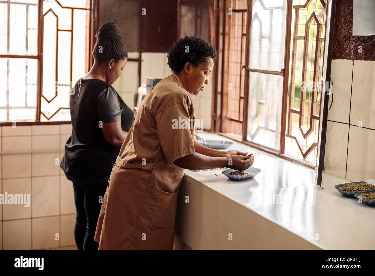 Deux femmes triant les grains de café par taille pour les déguster Banque D'Images